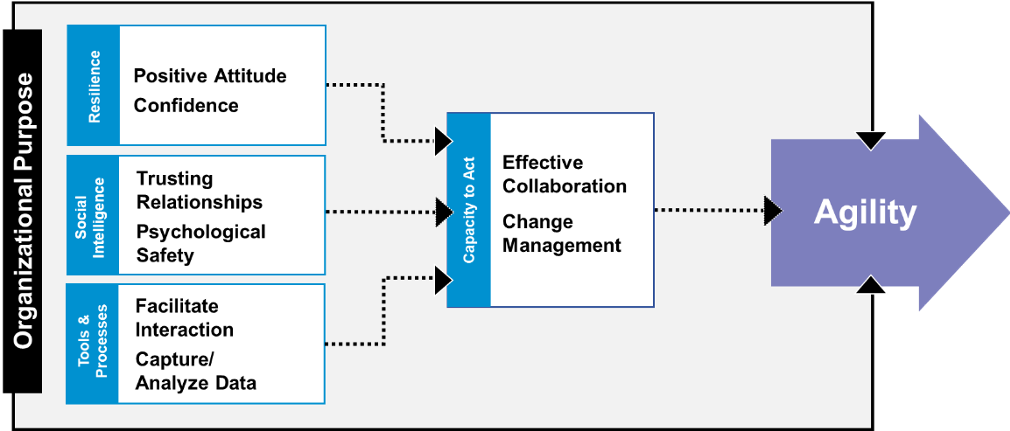 Organizational agility improvement